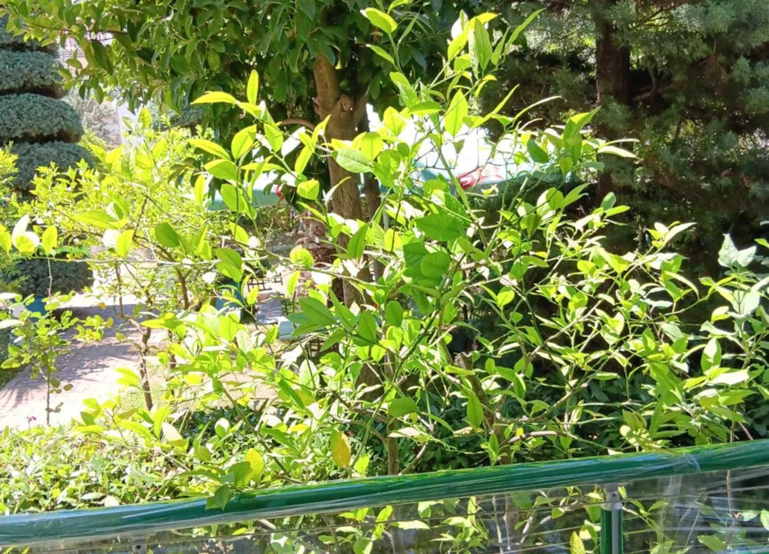 A-Vila 골렘